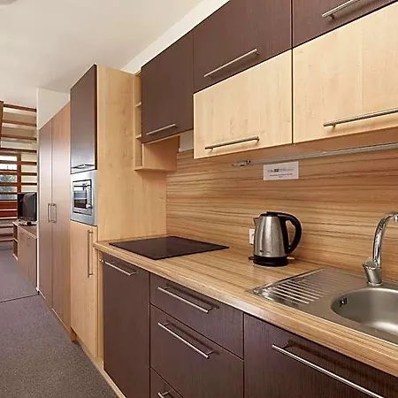 Wellness Ricky Hotel Rokytnice v Orlických Horách